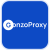 GonzoProxy