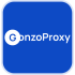 Proxys review: Individual proxies for any task